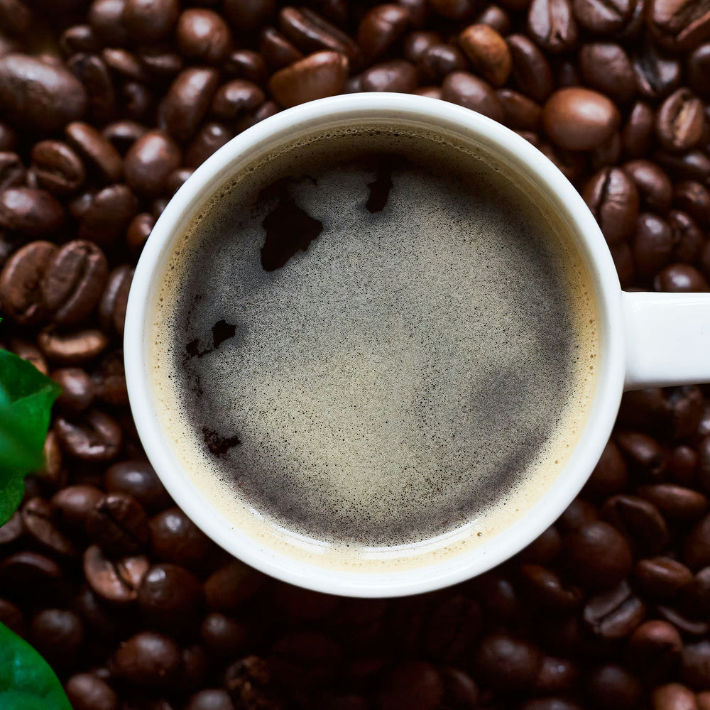 Coffee - Chiapas Dark Roast