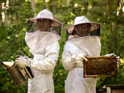 Bee Conservation and Education in Mexico