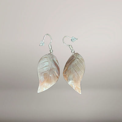 Earrings from Seashells